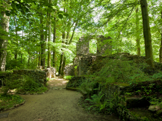 Ruins of the Abbey of the ancient monastery Altzella